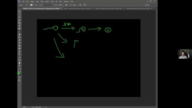 Проект «Университетский лицей»: ЕГЭ по биологии. Макроэволюция, общие направления эволюции и др. смотреть онлайн