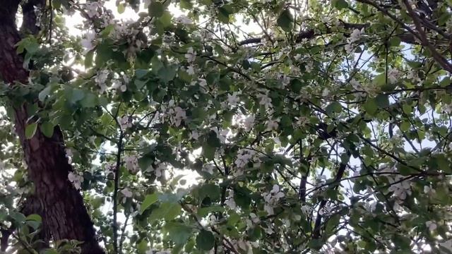 Цветотип «Весна». ПСИХОЛОГИЯ ЦВЕТА смотреть онлайн