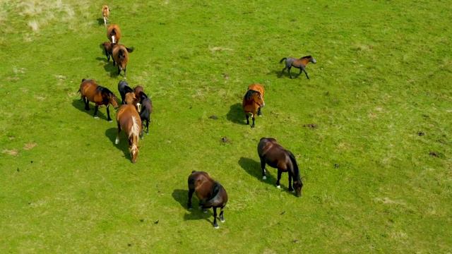 Maravillosa Música Curativa para Calmar la Mente y Aliviar los Trastornos Nerviosos🌿Energía Positiv смотреть онлайн