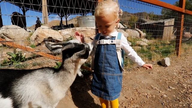 SALT LAKE CITY TRAVEL GUIDE смотреть онлайн