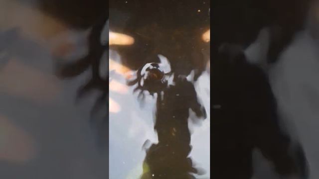 Так будет с тем чиновником, что чином пришиблен.., и думает только о СЕБЕ, СЮРПРИЗ ТО БУДЕТ ОТ ЁЁ.. смотреть онлайн