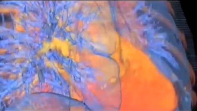 Кордамон специи смотреть онлайн