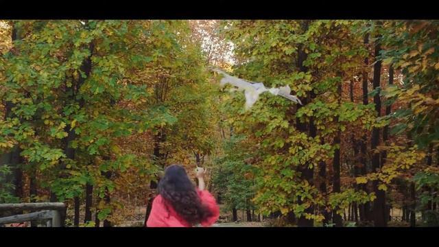 Оксана Калина - Намалюй смотреть онлайн