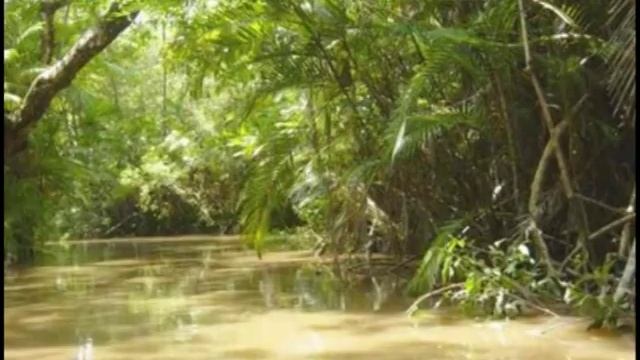 Physical Geography of South America смотреть онлайн