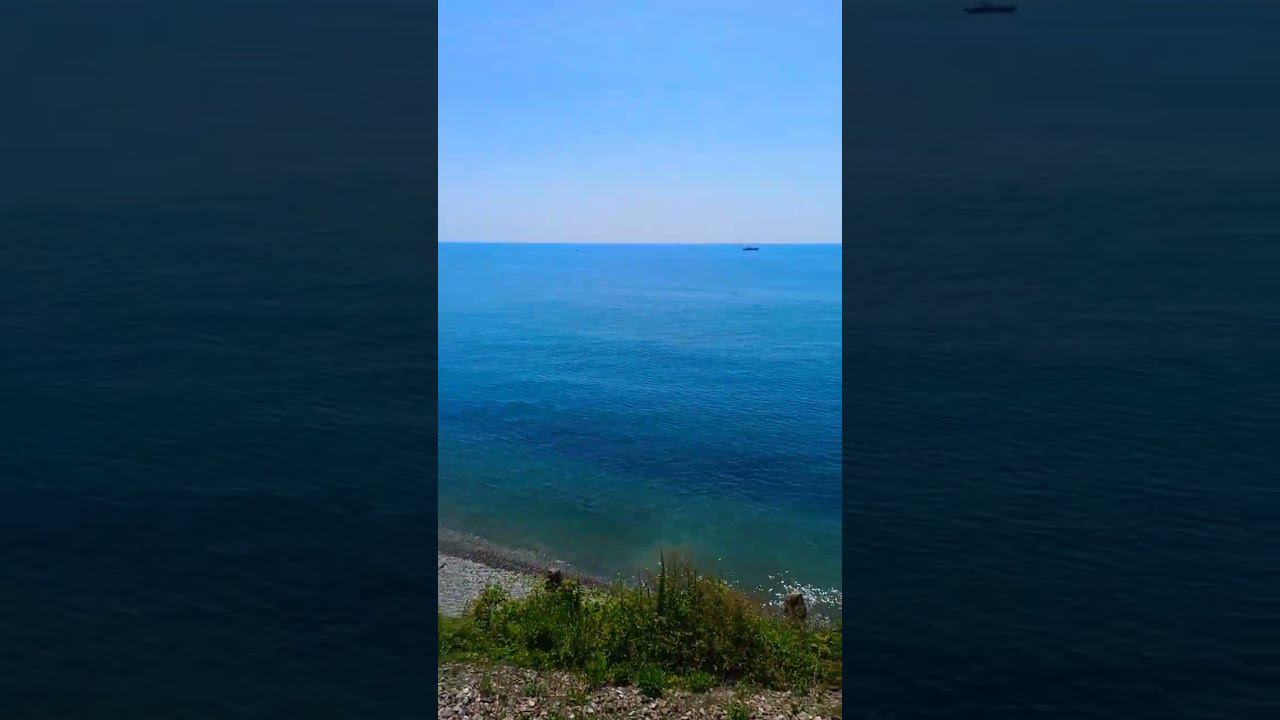 Стоим у входного Сочи! смотреть онлайн