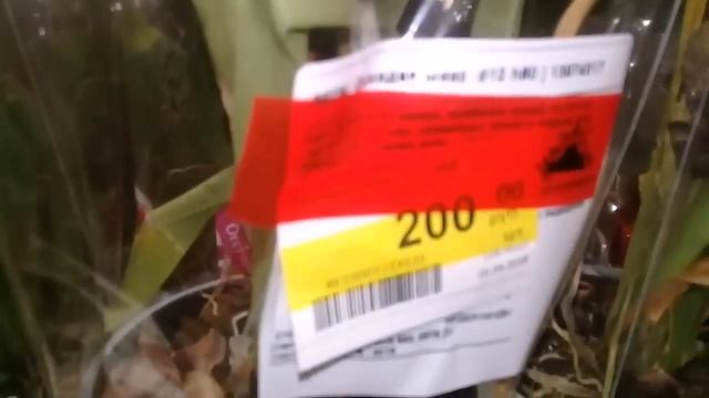 уценки из Леруа 1 мая смотреть онлайн