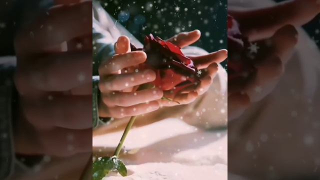 Наверно это твой рай....🎄✨✨✨ смотреть онлайн