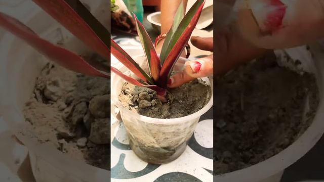 18 February 2024 смотреть онлайн