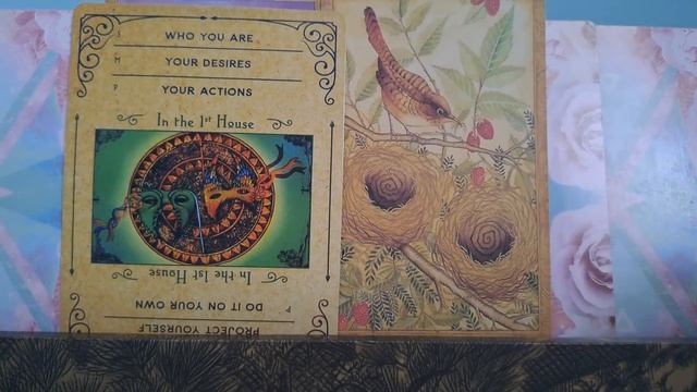 ?✨️?Poruke od Vaše osobe?✨️? смотреть онлайн