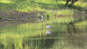 НЕВИННОМЫССК