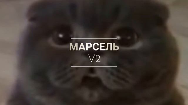 Новое интро ! Старое фигня ! смотреть онлайн