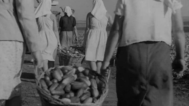 Смена времен года (1950) смотреть онлайн