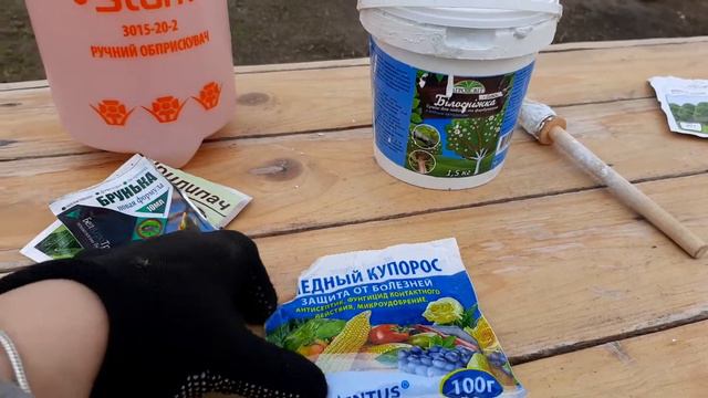 Растения для обучения