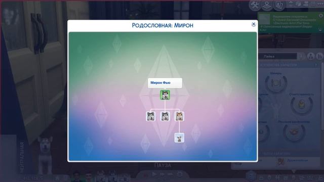 Sims 4 Родословная Собак Породы( Сибирская Хаски ) смотреть онлайн