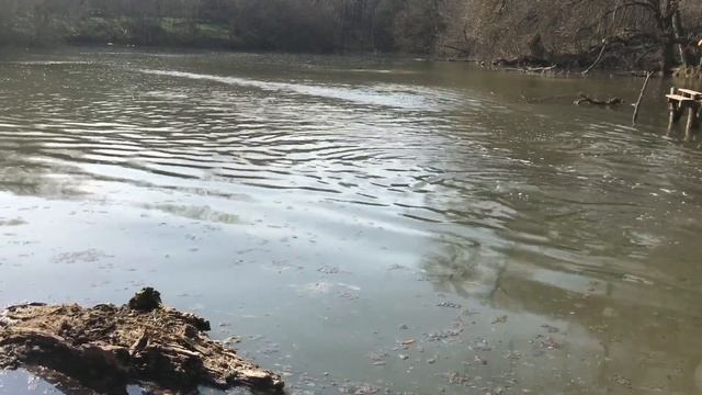 Отчистка водоема,внесение извести в пруд с рыбой. смотреть онлайн