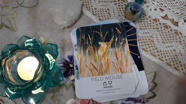 Spirit Animal Wisdom Oracle by Katie-Jane Wright & Nikki Strange смотреть онлайн