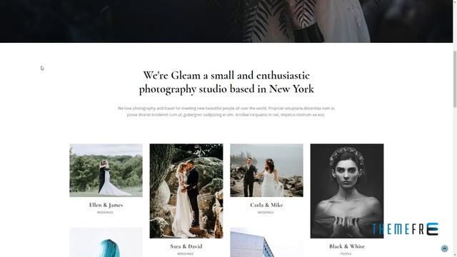 Gleam - Portfolio Photography WordPress Theme Joby Gerard смотреть онлайн