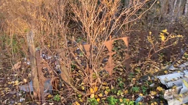 Подготовка Участка к Зиме, Разгребаем Участок От Мусора, Впервые Затопили Камин, Работа По Дому) смотреть онлайн