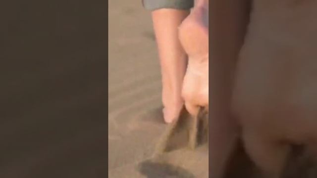 21 листопада 2023 р. смотреть онлайн