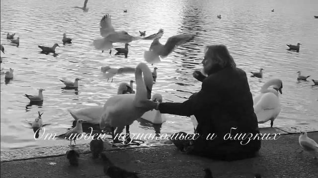 Стих Привыкайте счастливыми быть / автор Ирина Самарина-Лабиринт смотреть онлайн