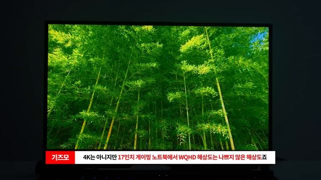 게임 퍼포먼스, 감성 모두 만족. 에이수스 물 올랐네요. ROG 스트릭스 17 G17 смотреть онлайн