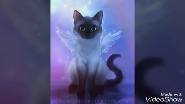 клип на 43 нашики смотреть описание смотреть онлайн