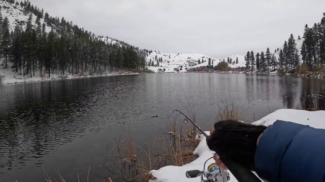 WINTER TROUT Fishing in REMOTE Mountain Lakes!!! (SOLO Catch & Cook) смотреть онлайн