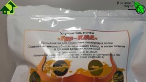 КАПУСТА РАСТЕТ БЕЗ ВРЕДИТЕЛЕЙ и БОЛЕЗНЕЙ! Безопасно избавьтесь от вредителей и гнилей на капусте.