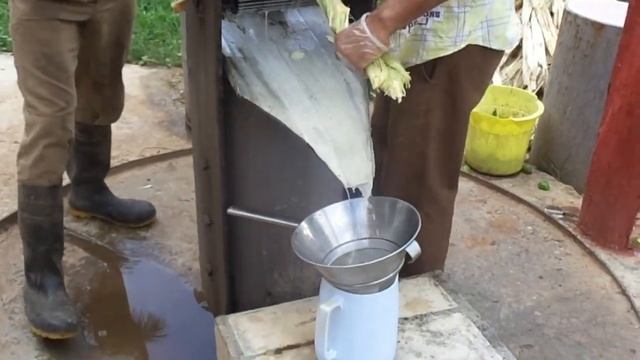 Как делают сок из сахарного тростника | How to make sugarcane juice смотреть онлайн
