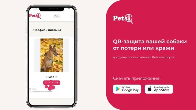Как защитить собаку от потери или кражи? | QR-адресник смотреть онлайн