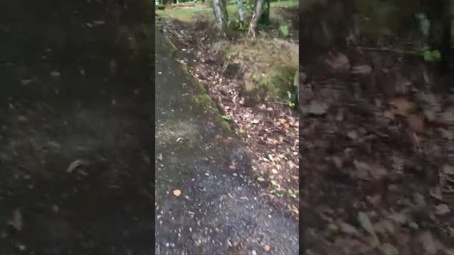 Я в детском оздоровительном лагере Энергетик Хабаровск Бычиха 3 смена 2022 год обзор территории смотреть онлайн