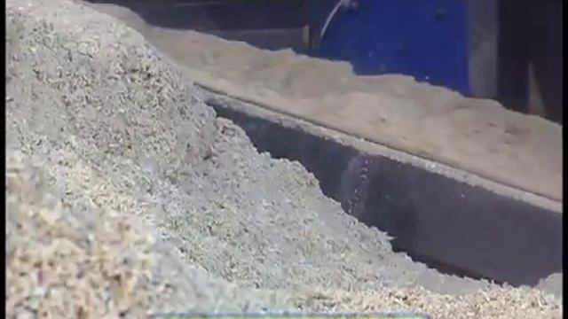 Галилео о пеллетах смотреть онлайн