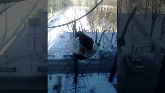 В Днепре на Косиора. смотреть онлайн