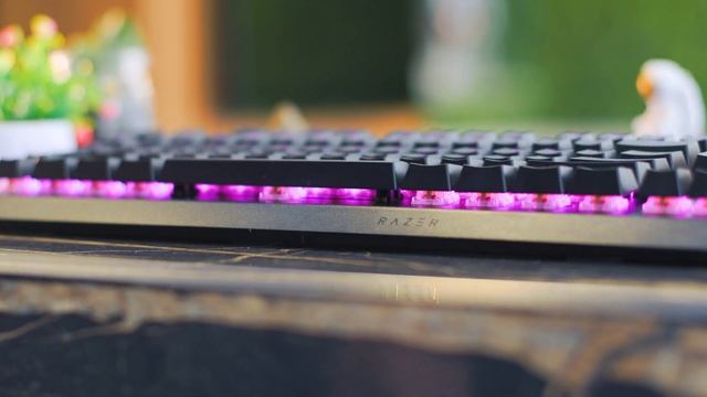 SIMPLESMENTE IMPRESSIONANTE ! Review do Razer Blackwidow V4 Pro #razerblackwidow смотреть онлайн