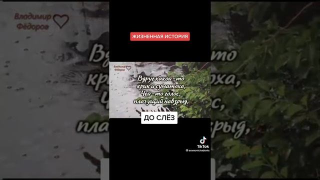 17 ноября 2022 г. смотреть онлайн