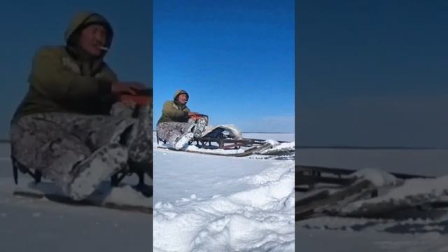 #рыбалка #якутия #клеваярыбалка #fishing #зима смотреть онлайн