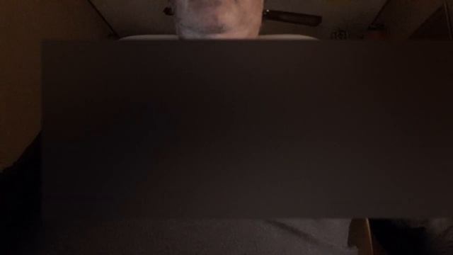 Сальвиа Дивинорум ( Salvia Divinorum ) Шалфей Предсказателей смотреть онлайн