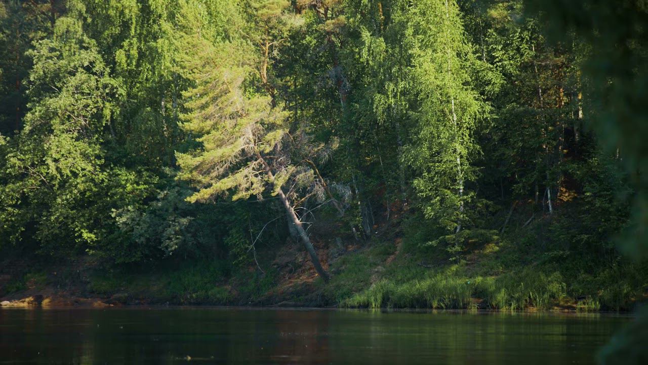 Мужские разговоры на рыбалке. Часть 1. смотреть онлайн