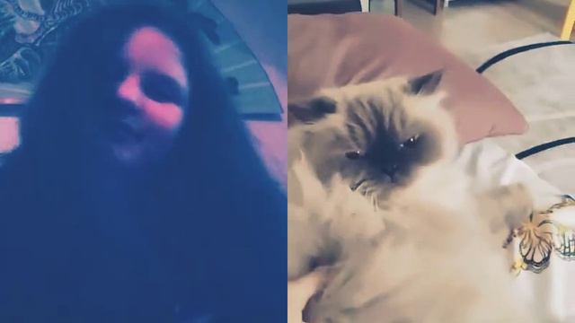 Тебе обязательно надо посмотреть это видео! Точно не пожалеешь!❤️ #Likee #HelloLikee https://l.lik смотреть онлайн