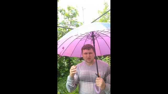 Как выбрать Газовую Плиту. 1-ый совет. смотреть онлайн