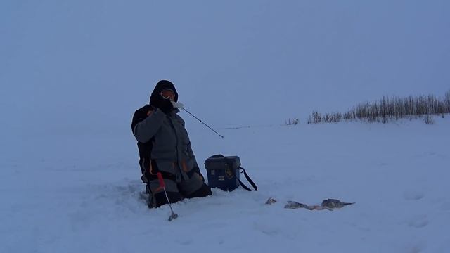 Окунь на железо 31 01 17 смотреть онлайн