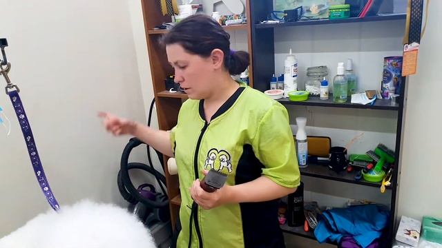 Отзыв топ-грумера Татьяны Вергель о машинке для груминга Andis AGC2 Ultra Edge смотреть онлайн