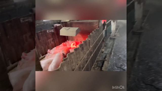 Начало 2024 года! смотреть онлайн