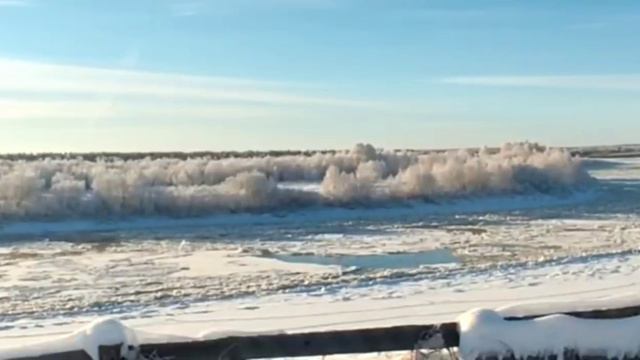 Перовы//Куда вам, девоньки, эта картошка? Пора остановиться// Обзор видео// смотреть онлайн