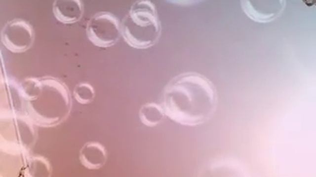 Познавательная география и описание про собачку смотреть онлайн