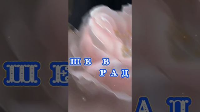 ПРИЯТНОГО ВЕЧЕРА смотреть онлайн
