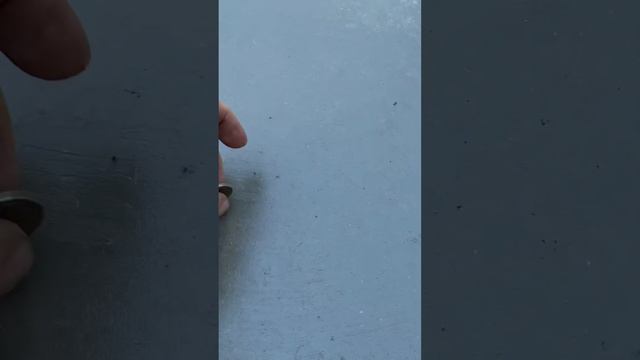 Забетонировали ангар под вертолет #shortvideo #youtube #shortsvideo #бетон #бетонирование #юмор смотреть онлайн