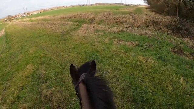 VERY spooky hack!? | GoPro | Emme Equestrian смотреть онлайн