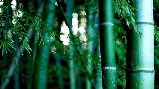 mantra Lam / Мантра Лам appeal to the first chakra / Обращение к 1й чакре смотреть онлайн