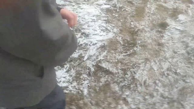 ИЩЕММ РЕСЫ ДЛЯ БАЗЫ смотреть онлайн